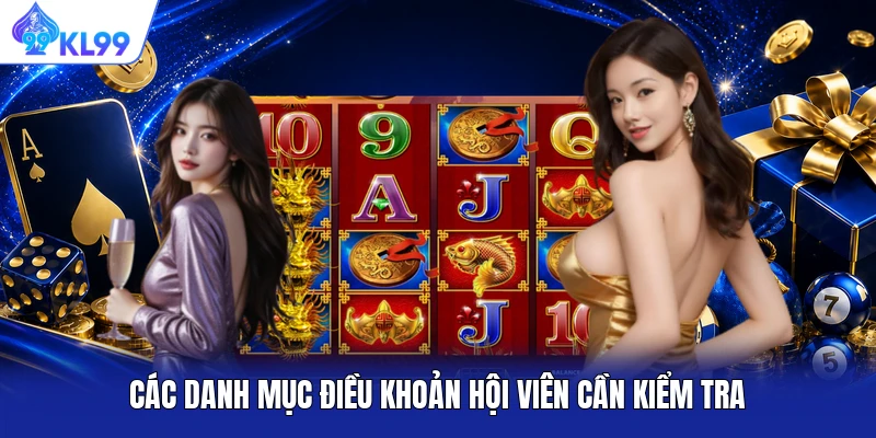 Các danh mục điều khoản hội viên cần kiểm tra Các danh mục điều khoản hội viên cần kiểm tra